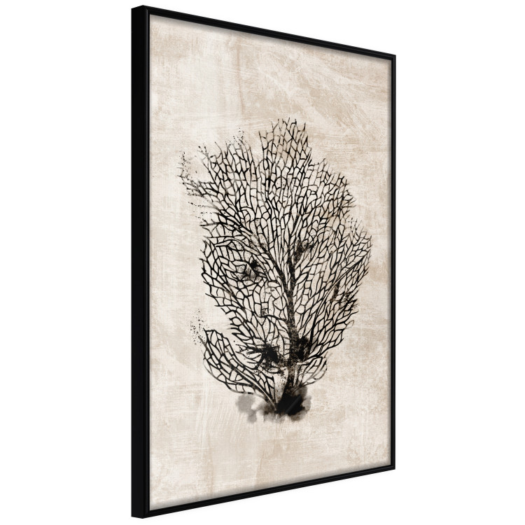Wall Poster Sea Fan - dark plant composition on a beige textured background 134511 additionalImage 11