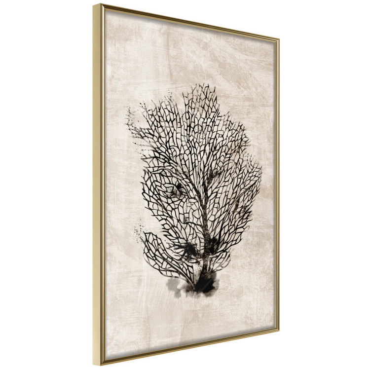 Wall Poster Sea Fan - dark plant composition on a beige textured background 134511 additionalImage 12