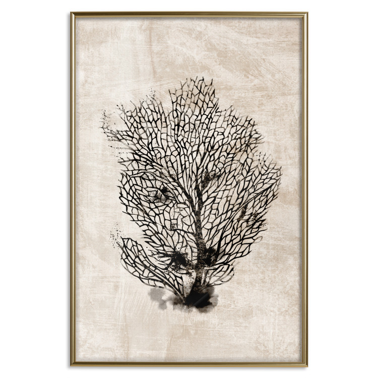 Wall Poster Sea Fan - dark plant composition on a beige textured background 134511 additionalImage 17