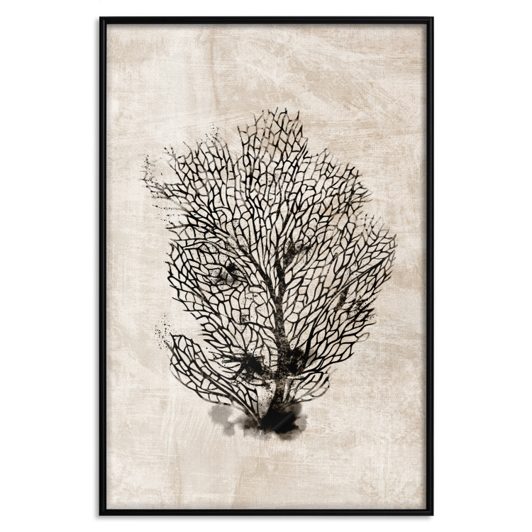 Wall Poster Sea Fan - dark plant composition on a beige textured background 134511 additionalImage 18