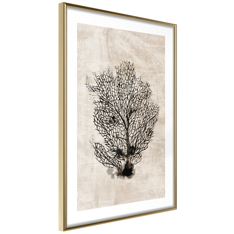 Wall Poster Sea Fan - dark plant composition on a beige textured background 134511 additionalImage 7