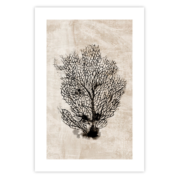 Wall Poster Sea Fan - dark plant composition on a beige textured background 134511 additionalImage 19