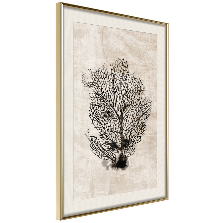 Wall Poster Sea Fan - dark plant composition on a beige textured background 134511 additionalImage 3