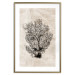 Wall Poster Sea Fan - dark plant composition on a beige textured background 134511 additionalThumb 16
