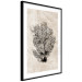 Wall Poster Sea Fan - dark plant composition on a beige textured background 134511 additionalThumb 8