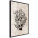 Wall Poster Sea Fan - dark plant composition on a beige textured background 134511 additionalThumb 13