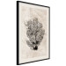 Wall Poster Sea Fan - dark plant composition on a beige textured background 134511 additionalThumb 2