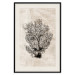Wall Poster Sea Fan - dark plant composition on a beige textured background 134511 additionalThumb 19