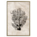 Wall Poster Sea Fan - dark plant composition on a beige textured background 134511 additionalThumb 21