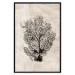 Wall Poster Sea Fan - dark plant composition on a beige textured background 134511 additionalThumb 16