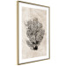 Wall Poster Sea Fan - dark plant composition on a beige textured background 134511 additionalThumb 9