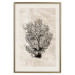 Wall Poster Sea Fan - dark plant composition on a beige textured background 134511 additionalThumb 20