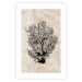 Wall Poster Sea Fan - dark plant composition on a beige textured background 134511 additionalThumb 25