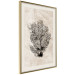 Wall Poster Sea Fan - dark plant composition on a beige textured background 134511 additionalThumb 3