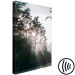 Canvas Sun get through the trees - photo of a forest landscape 137211 additionalThumb 6