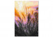 Paint by Number Kit Romantic Meadow - Delicate Golden Grass at Sunset 145211 additionalThumb 3