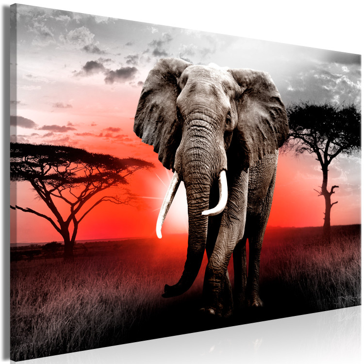 Large canvas print Elephant Against the Setting Sun [Large Format] 150811 additionalImage 2