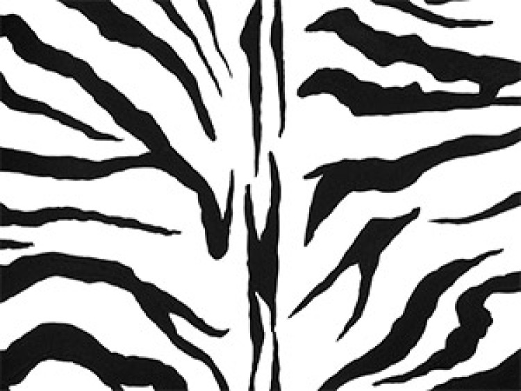 Canvas Art Print Zebra pattern 49311 additionalImage 2