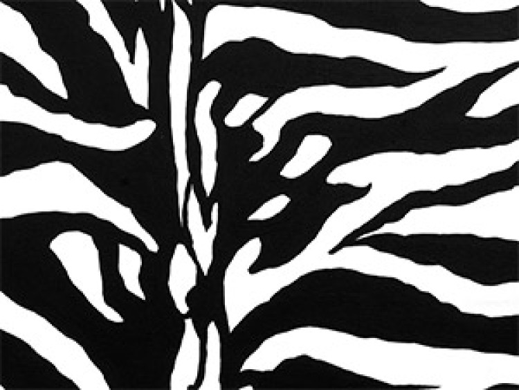 Canvas Art Print Zebra pattern 49311 additionalImage 3