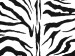Canvas Art Print Zebra pattern 49311 additionalThumb 2