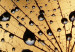 Canvas Dandelions and dew 58611 additionalThumb 5