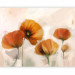 Wall Mural Poppies - vintage 60411 additionalThumb 5