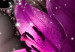 Canvas Zen of Glitter 82011 additionalThumb 4