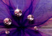 Canvas Flowers of Memory  89911 additionalThumb 5