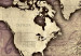 Cork Pinboard Precious World [Cork Map] 92211 additionalThumb 6