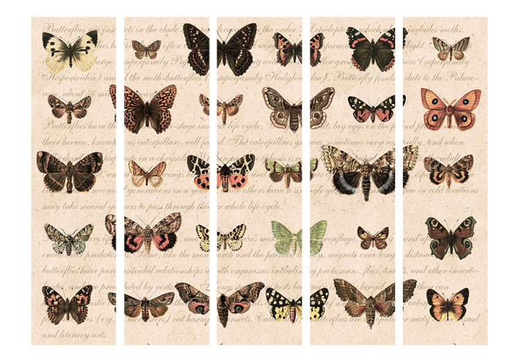 Room Separator Retro Style: Butterflies II - colorful butterflies on paper with writings 97911 additionalImage 3