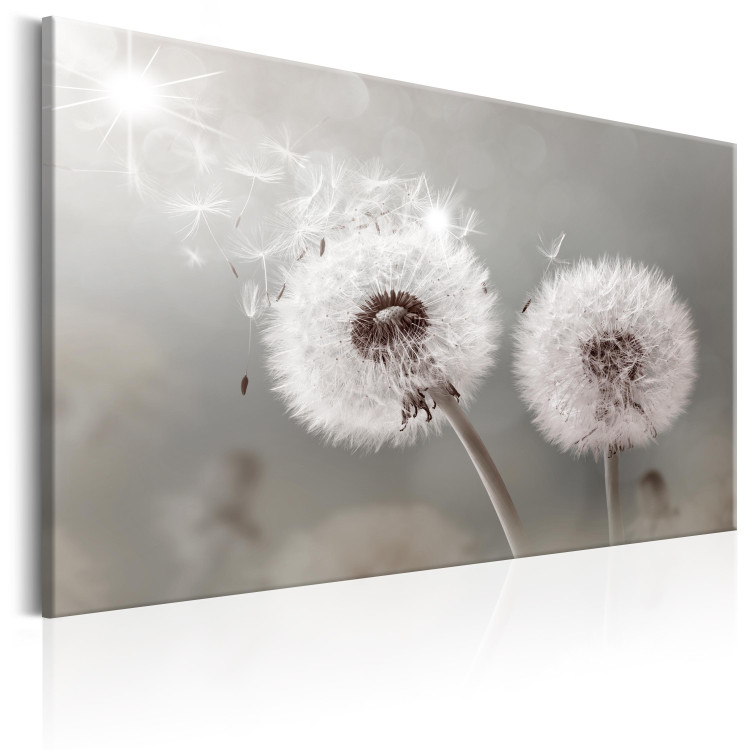 Canvas Print Towards the Sun - Dandelions in the Glow of Sunbeams and Wind 98211 additionalImage 2