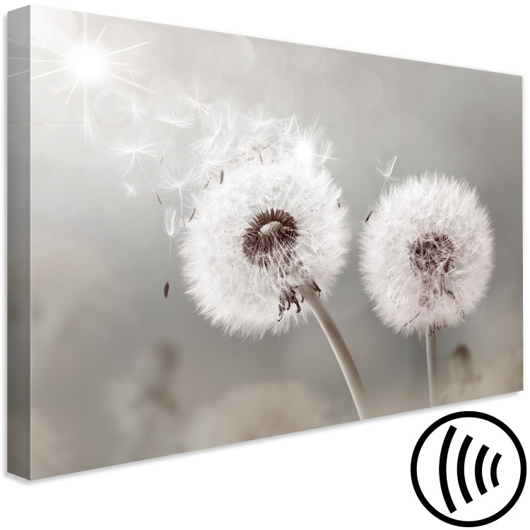 Canvas Print Towards the Sun - Dandelions in the Glow of Sunbeams and Wind 98211 additionalImage 6