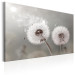 Canvas Print Towards the Sun - Dandelions in the Glow of Sunbeams and Wind 98211 additionalThumb 2