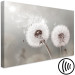 Canvas Print Towards the Sun - Dandelions in the Glow of Sunbeams and Wind 98211 additionalThumb 6
