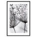 Poster Morning Dew - black and white composition in a dandelion with water drops 116521 additionalThumb 17