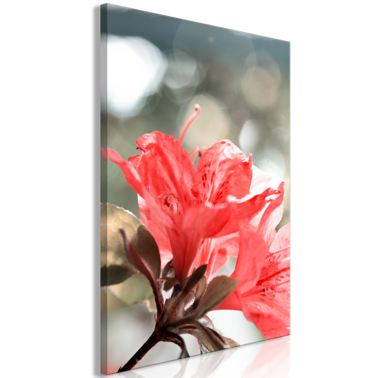Canvas Art Print Hibiscus red - a minimalist photo of a twig and flowers 121621 additionalImage 2
