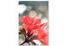 Canvas Art Print Hibiscus red - a minimalist photo of a twig and flowers 121621