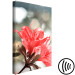 Canvas Art Print Hibiscus red - a minimalist photo of a twig and flowers 121621 additionalThumb 6