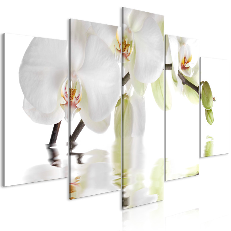 Canvas Art Print Blooming orchid - abstract theme with white flower on white background 123421 additionalImage 2
