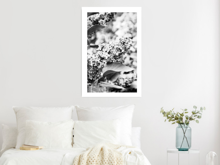 Wall Poster Monochrome Elder - black and white elderflower on blurred plant background 123921 additionalImage 4