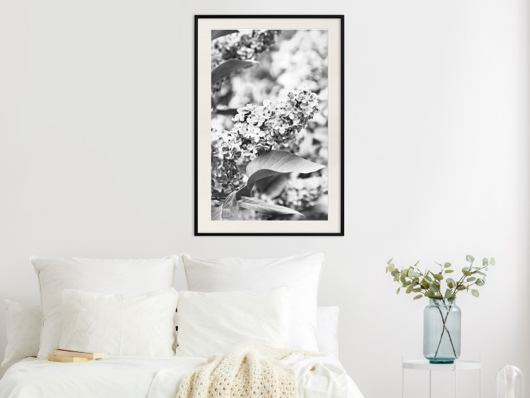 Wall Poster Monochrome Elder - black and white elderflower on blurred plant background 123921 additionalImage 21
