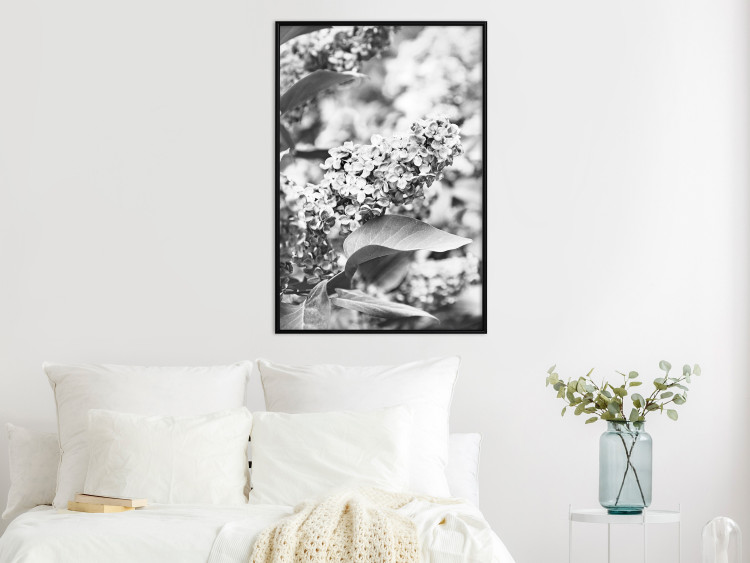 Wall Poster Monochrome Elder - black and white elderflower on blurred plant background 123921 additionalImage 5