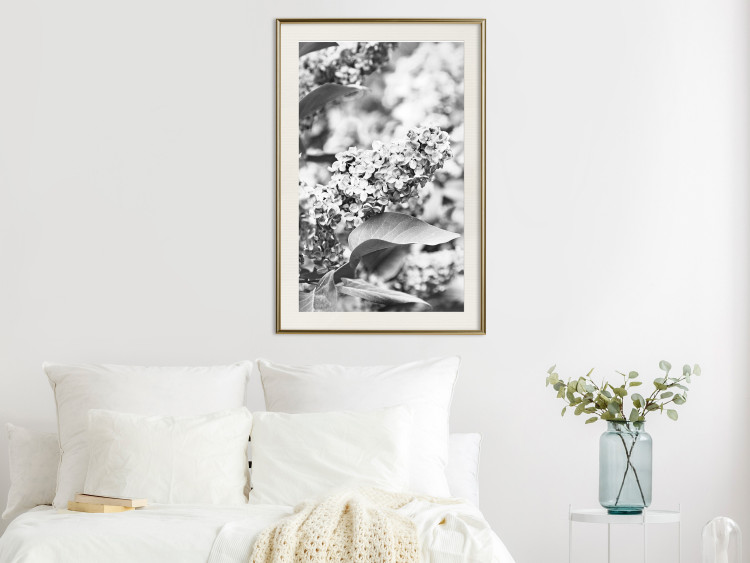 Wall Poster Monochrome Elder - black and white elderflower on blurred plant background 123921 additionalImage 22