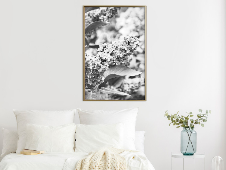 Wall Poster Monochrome Elder - black and white elderflower on blurred plant background 123921 additionalImage 7