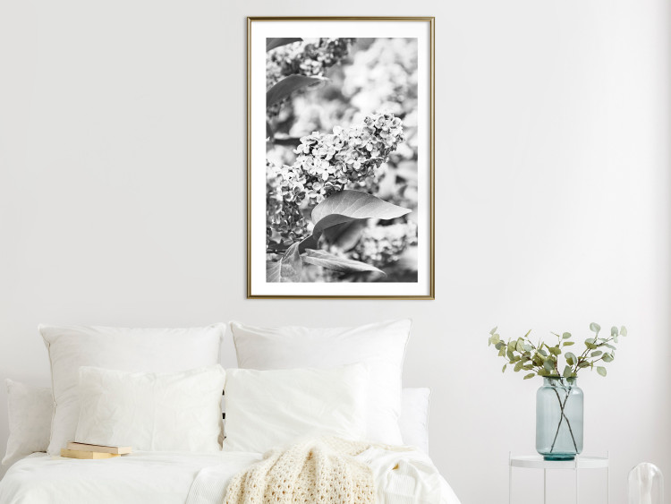 Wall Poster Monochrome Elder - black and white elderflower on blurred plant background 123921 additionalImage 15