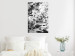 Wall Poster Monochrome Elder - black and white elderflower on blurred plant background 123921 additionalThumb 20