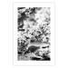 Wall Poster Monochrome Elder - black and white elderflower on blurred plant background 123921 additionalThumb 18