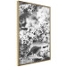 Wall Poster Monochrome Elder - black and white elderflower on blurred plant background 123921 additionalThumb 14