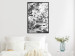 Wall Poster Monochrome Elder - black and white elderflower on blurred plant background 123921 additionalThumb 5