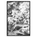 Wall Poster Monochrome Elder - black and white elderflower on blurred plant background 123921 additionalThumb 19